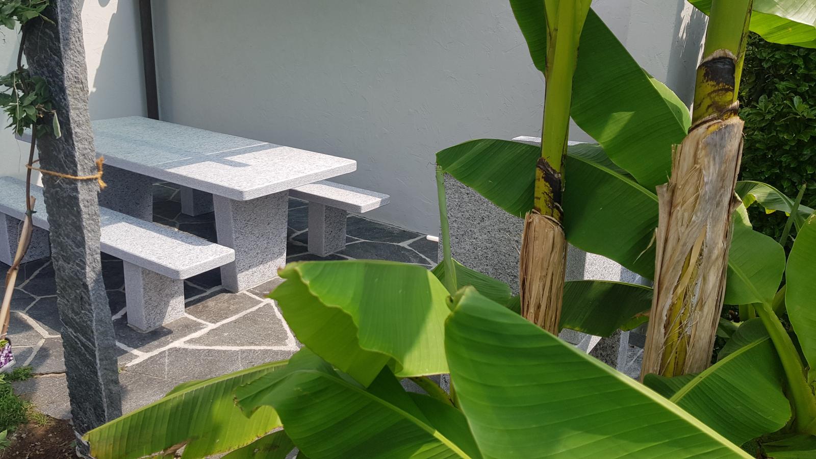 Vom erhöhten Sitzplatz aus, in den Garten und über den Lago Maggiore schweifen geschützt durch die Sonnenstrahlen durch grosse Bananenblätter und und die jungen noch wachsende Glizelien als Pergola