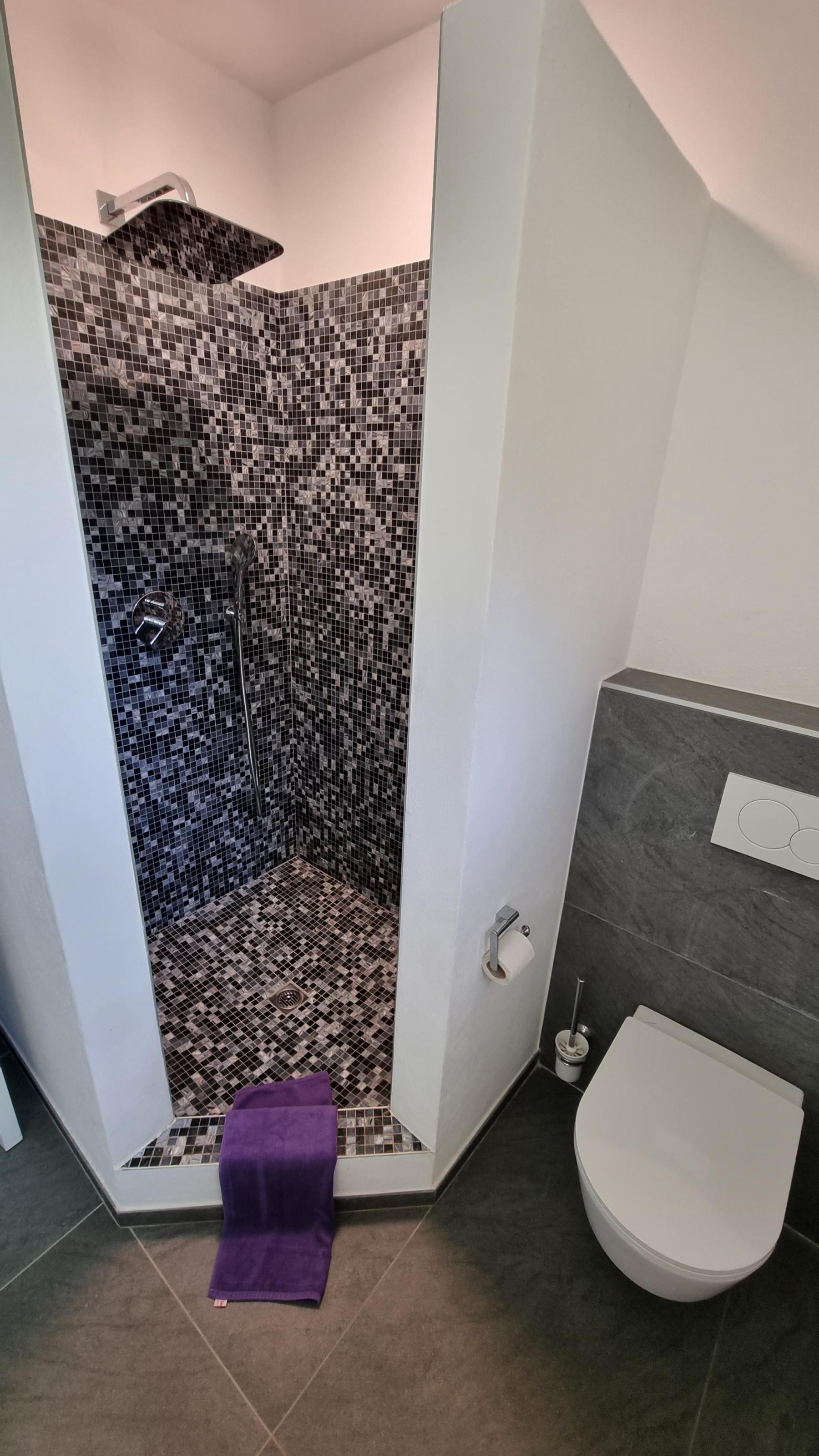 Die Dusche ist klar und strukturiert gestaltet und ihre Mosaiksteine als Auskleidung im Duschbereich verleihen ihr einen klaren Charakter. das Bild zeigt die Dusche mit den Mosaiksteinen